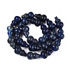Natural Lapis Lazuli Beads Strands G-C039-A06-3