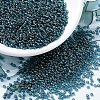 MIYUKI Round Rocailles Beads X-SEED-G007-RR0305-1