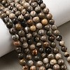 Natural Fossil Coral Beads Strands G-G212-6mm-31-6