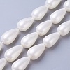 Electroplate Shell Pearl Beads Strands BSHE-O019-12-1