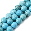 Natural Magnesite Beads Strands G-P598-E-10mm-05-2
