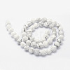 Natural Howlite Beads Strands G-F523-28-6mm-2