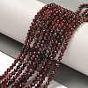 Natural Garnet Beads Strands G-I341-09C-2