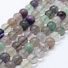 Natural Fluorite Beads Strands X-G-E484-01-1