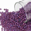 TOHO Round Seed Beads SEED-TR11-0625F-1
