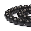 Natural Shungite Beads Strands G-I271-C03-10mm-3
