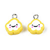 Handmade Polymer Clay Charms CLAY-N006-37B-01H-2