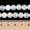 Natural Selenite Beads Strands G-G167-A01-01-5