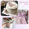 1Bag Organza Ribbon ORIB-CY0001-04B-4