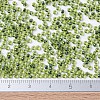 MIYUKI Round Rocailles Beads X-SEED-G007-RR0350-2