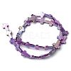 Natural Freshwater Shell Beads Strands SHEL-K006-02C-3