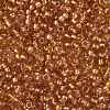 TOHO 8/0 Round Beads SEED-XTR08-1853-2