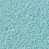 12/0 Grade A Round Glass Seed Beads SEED-N001-B-143-2