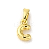 Rack Plating Brass Charms KK-C053-04G-C-1