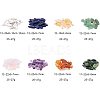 Natural Gemstone Chips Beads G-PH0034-20-3