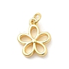 Brass Pendants KK-Z135-13A-G-1