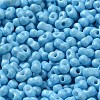 Baking Paint Glass Seed Beads SEED-K009-01A-06-3