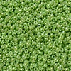 MIYUKI Round Rocailles Beads SEED-G007-RR0479-3