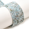 Natural Larimar Beads Strands G-G259-D13-2mm-2