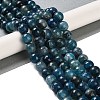 Natural Agate Beads Strands G-M437-C01-01B-2