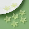 Transparent Acrylic Beads MACR-S373-127-D06-3