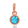 Rose Gold Plated Alloy Glass Rhinestone Charms PALLOY-TAC0016-A03-RG-1