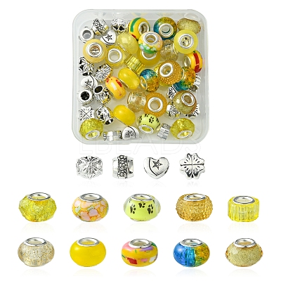 DIY Tibetan Style Alloy & Resin European Beads Making Finding Kits DIY-FS0006-78B-1
