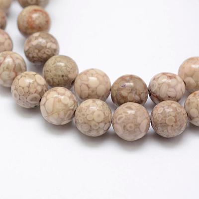 Natural Fossil Coral Beads Strands G-P325-01-8mm-1