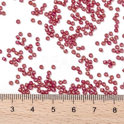 TOHO Round Seed Beads SEED-TR11-0165BF-1