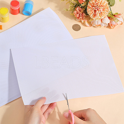 Plastic Mesh Canvas Sheets AJEW-CP0008-79B-1