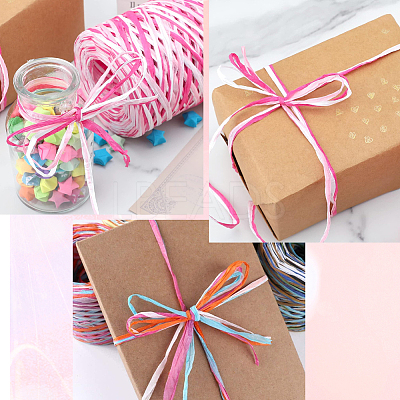 Segment Dyed Raffia Paper Cords for DIY Craft OCOR-WH20020-27A-1