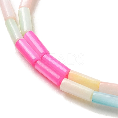 Rainbow Color Dyed Natural Freshwater Shell Beads Strands X1-SHEL-G018-02A-1