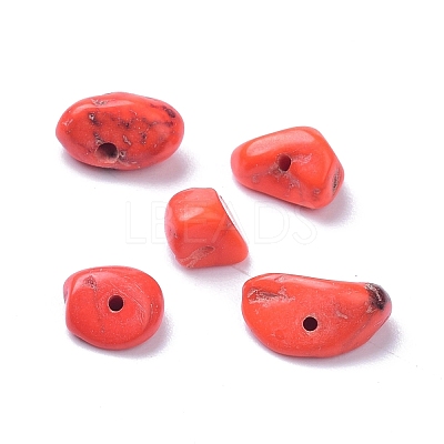 Natural Magnesite Beads Strands TURQ-P001-02A-10-1