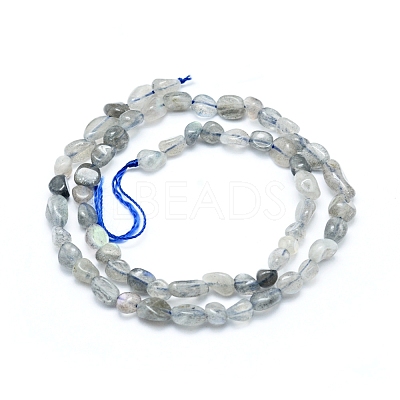 Natural Labradorite Beads Strands G-L550A-06-1