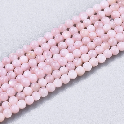 Natural Freshwater Shell Beads Strands X-BSHE-T009-01D-1