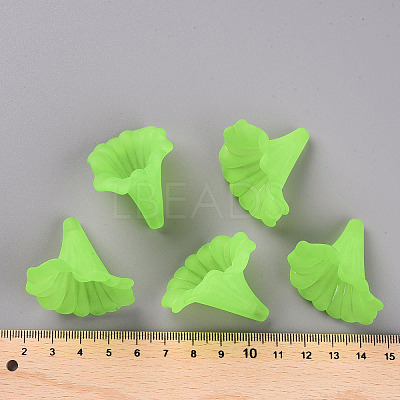 Transparent Acrylic Beads BSF796-C18-1