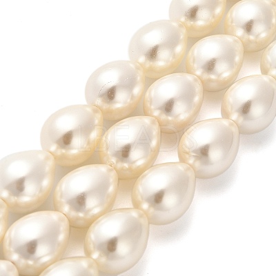 Electroplate Shell Pearl Beads Strands BSHE-G010-14x18mm-01-1