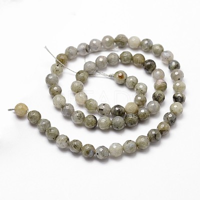 Natural Labradorite Beads Strands G-G736-04-6mm-1
