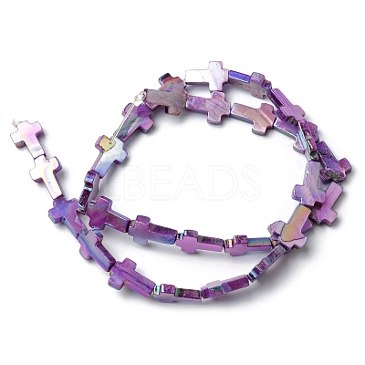 Natural Freshwater Shell Beads Strands SHEL-K006-02C-1