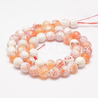 Faceted Natural Fire Crackle Agate Beads Strands X-G-F447-8mm-B03-1