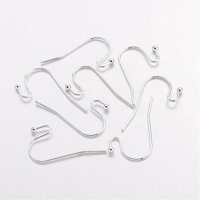 Brass Earring Hooks J0JQN-S-1