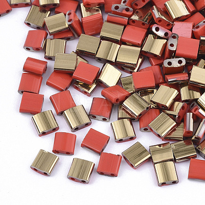 FGB 2-Hole Glass Seed Beads SEED-S031-L-045-G-1