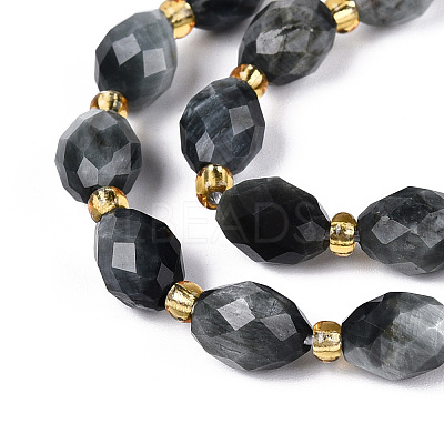 Natural Eagle Eye Stone Beads Strands G-N342-35-8x6-03-1