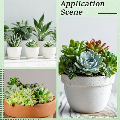 PVC Artificial Succulent Plant AJEW-SP0004-35A-1