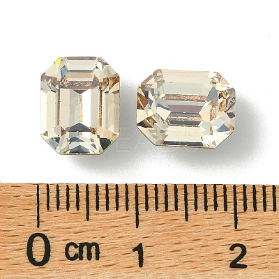 Preciosa&reg MAXIMA Crystal Fancy Stones Y-PRC-FD10-00030-235-1