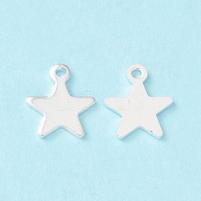 304 Stainless Steel Charms X-STAS-L234-069S-1