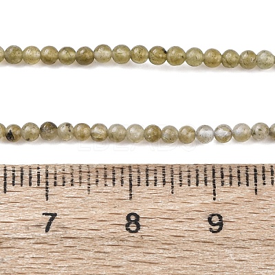 Natural Labradorite Beads Strands G-Z116-A04-2mm-1