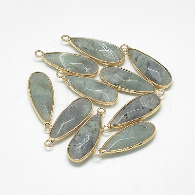 Natural Labradorite Pendants G-Q494-55C-1