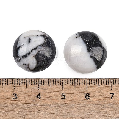 Natural Zebra Jasper Cabochons G-T020-18mm-29-1