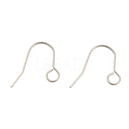 Tarnish Resistant 304 Stainless Steel Earring Hooks STAS-B047-31P-1